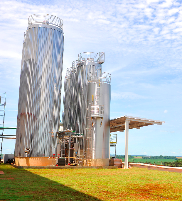 Nutrifont traz inovação ao mercado alimentício brasileiro